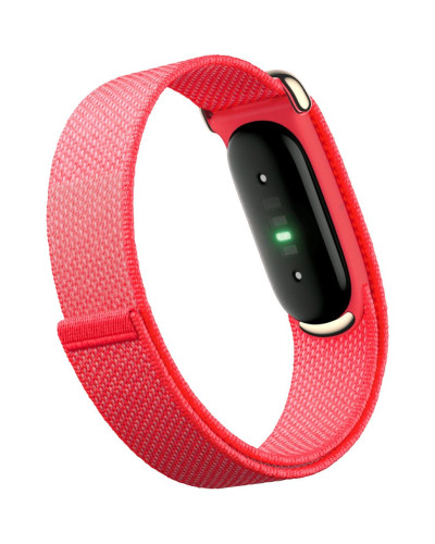 Google Fitbit Air Berry
