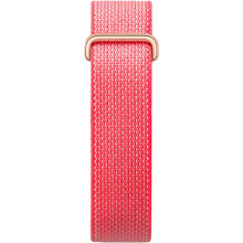 Google Fitbit Air Berry