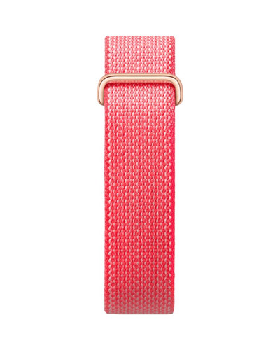 Google Fitbit Air Berry