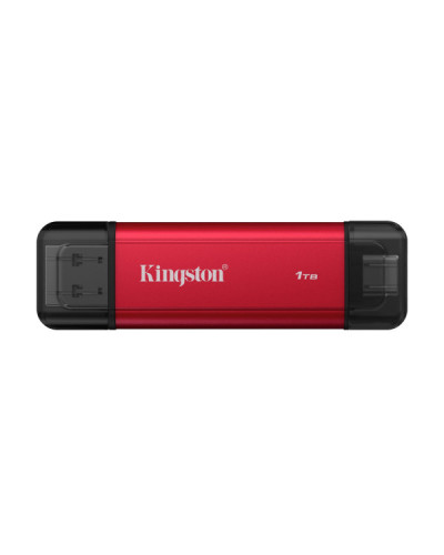 Kingston Dual Portable 1 TB (SPSD/1TB)