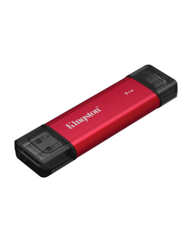 Kingston Dual Portable 1 TB (SPSD/1TB)