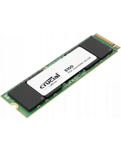 Crucial E100 1 TB (CT1000E100SSD8)