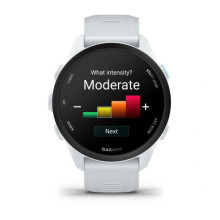 Garmin Forerunner 70 Whitestone (010-04307-01)