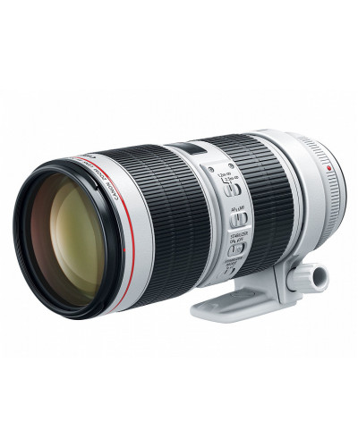 Canon EF 70-200mm f/2.8L IS III USM