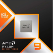 AMD Ryzen 9 9900X3D (100-100001368WOF)