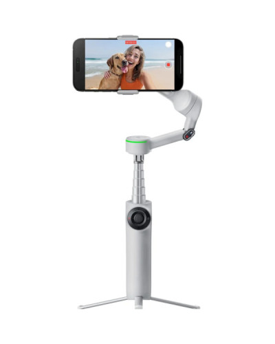 Insta360 Flow 2 Pro Gray (CINSABQB-G)