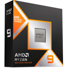 AMD Ryzen 9 9900X3D (100-100001368WOF)