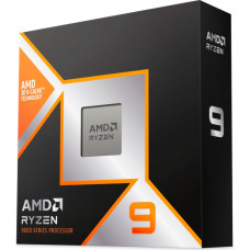 AMD Ryzen 9 9900X3D (100-100001368WOF) AMD Ryzen 9 9900X3D (100-100001368WOF)