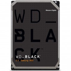 WD Black Performance 10 TB (WD101FZBX)