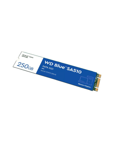 WD Blue SA510 M.2 250 GB (WDS250G3B0B)