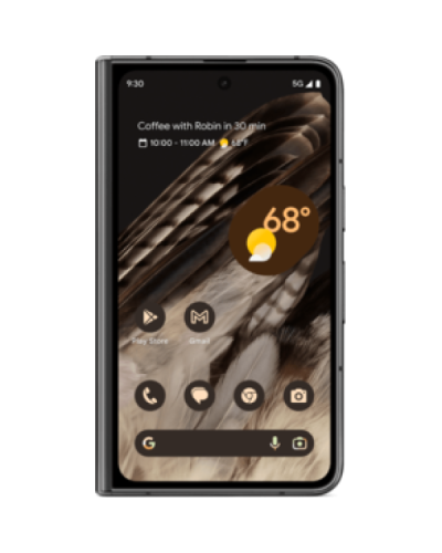 Google Pixel Fold 12/512GB Obsidian