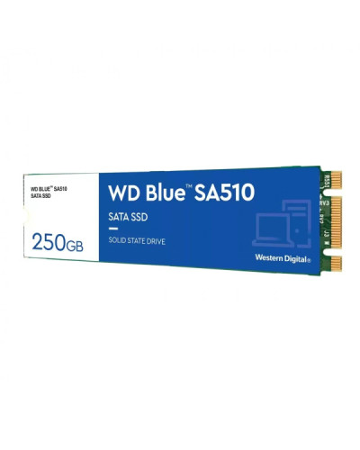 WD Blue SA510 M.2 250 GB (WDS250G3B0B)