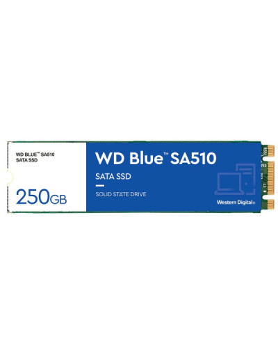 WD Blue SA510 M.2 250 GB (WDS250G3B0B)