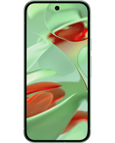 Google Pixel 9 12/256GB Wintergreen