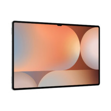 Samsung Galaxy Tab S10 Ultra 12/256GB Platinum Silver (SM-X920NZSR)