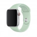 Apple Watch 42mm/44mm Beryl Sport Band (MWUQ2)