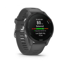Garmin Forerunner 255 Slate Gray (010-02641-00/10/43)