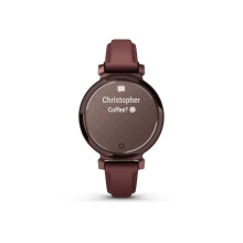 Garmin Lily 2 Classic Dark Bronze with Mulberry Leather Band (010-02839-03)