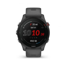Garmin Forerunner 255 Slate Gray (010-02641-00/10/43)