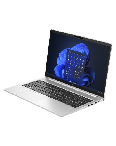 HP EliteBook 655 G10 (75G72AV_V2)