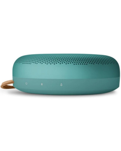 Bang & Olufsen Beosound A1 3rd Gen. Eucalyptus Green (1736009)