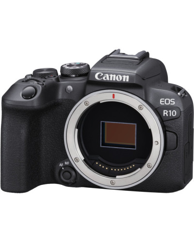 Canon EOS R10 body (5331C046)