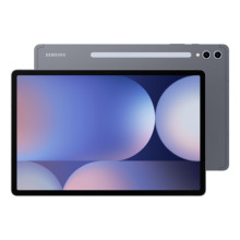 Samsung Galaxy Tab S10+ 12/256GB Wi-Fi Moonstone Grey (SM-X820NZAR)