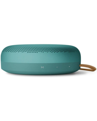 Bang & Olufsen Beosound A1 3rd Gen. Eucalyptus Green (1736009)
