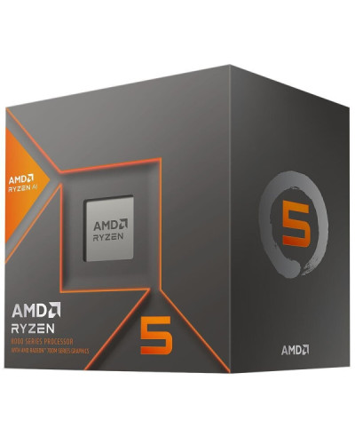 AMD Ryzen 5 8500G (100-100000931BOX)