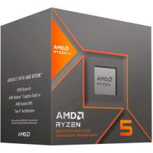 AMD Ryzen 5 8500G (100-100000931BOX)
