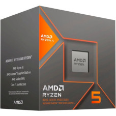 AMD Ryzen 5 8500G (100-100000931BOX)