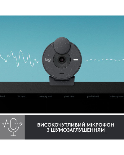 Logitech Brio 300 FHD Graphite (960-001436)