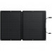 EcoFlow 60W Solar Panel (EFSOLAR60)
