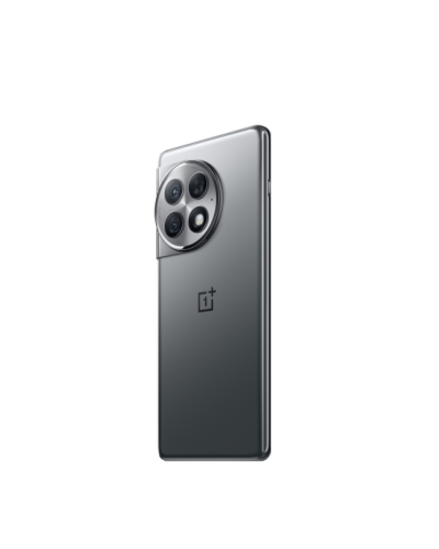 OnePlus Ace 2 Pro 12/256GB Titanium Gray