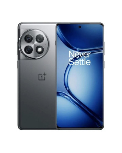 OnePlus Ace 2 Pro 12/256GB Titanium Gray