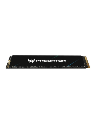 Acer Predator GM6 1 TB (BL.9BWWR.133)