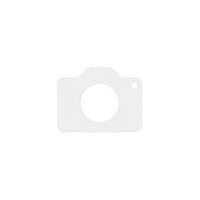 Seagate IronWolf 8 TB (ST8000VN004)
