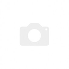 Seagate IronWolf 8 TB (ST8000VN004)