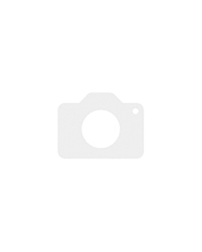 Seagate IronWolf 8 TB (ST8000VN004)