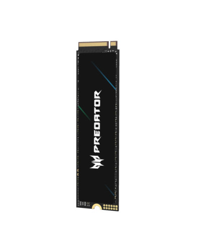 Acer Predator GM6 1 TB (BL.9BWWR.133)