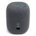 JBL Link Music Grey (JBLLINKMUSICGRY)