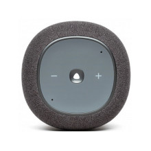 JBL Link Music Grey (JBLLINKMUSICGRY)