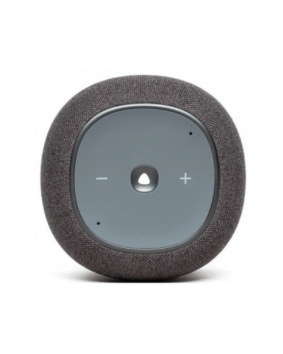 JBL Link Music Grey (JBLLINKMUSICGRY)