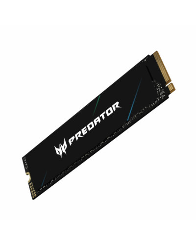 Acer Predator GM6 1 TB (BL.9BWWR.133)