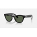 Ray-Ban Meta Skyler Standard - Shiny Black / G-15 Green (RW4010 601/71 52-20)
