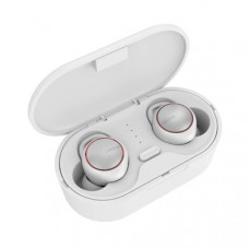 Celebrat FLY-4 White