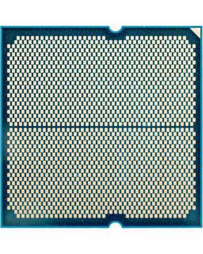 AMD Ryzen 9 9900X (100-100000662WOF)