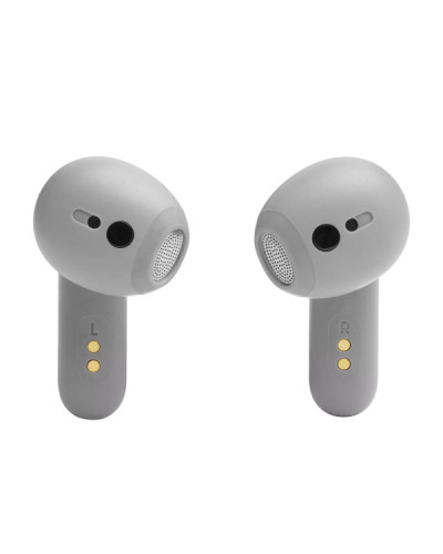 JBL Live Flex Silver (JBLLIVEFLEXSVR)