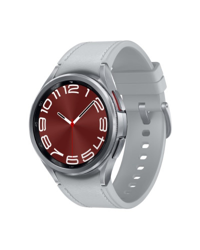 Samsung Galaxy Watch6 Classic 43mm Silver (SM-R950NZSA)