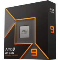 AMD Ryzen 9 9900X (100-100000662WOF)
